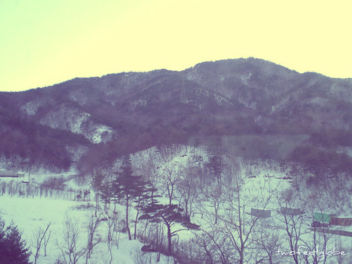 162718_486654538651_2054881_n