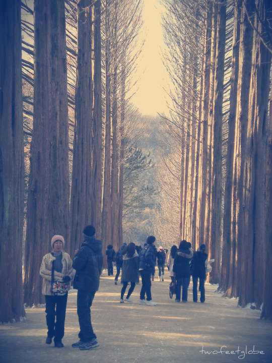 162987_486645368651_1258741_n