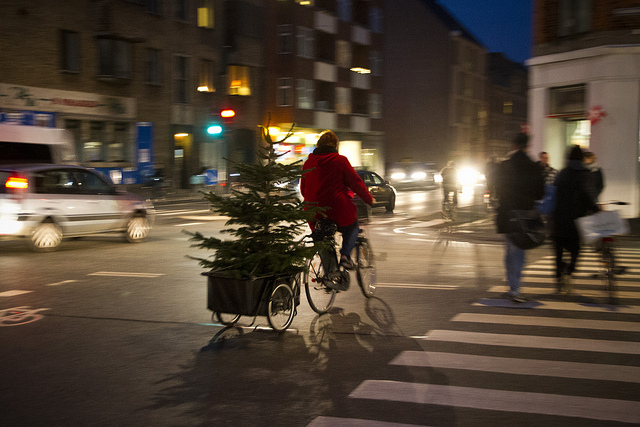 11439921796_440e73512d_z