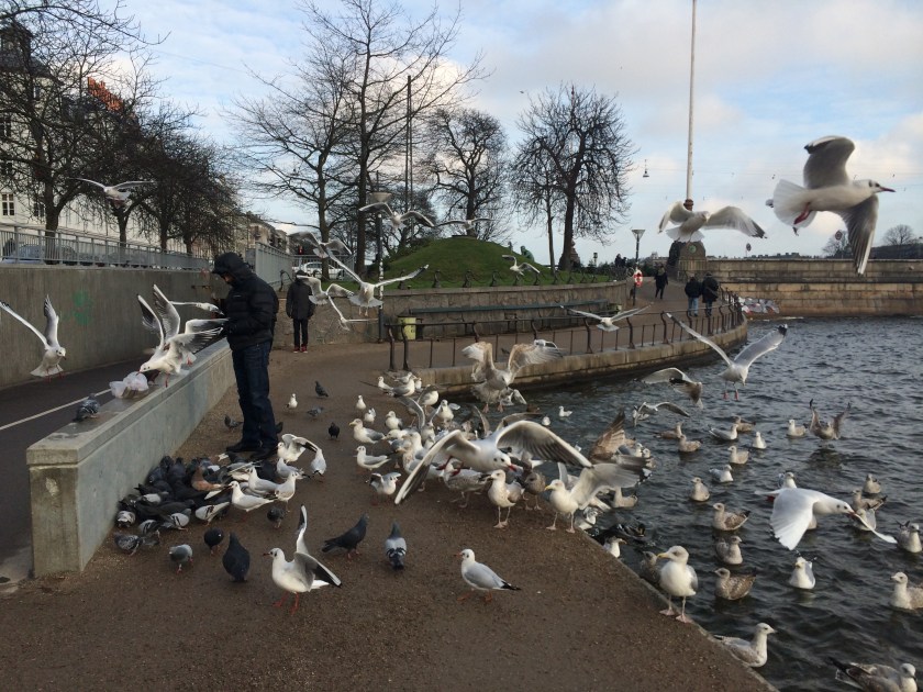 image-10-01-15-04-47