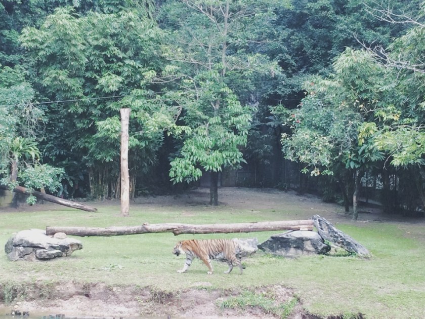 image-04-02-15-12-34-7