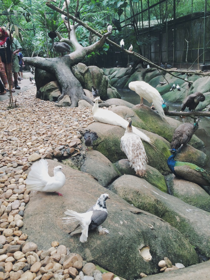 image-04-02-15-12-34-8