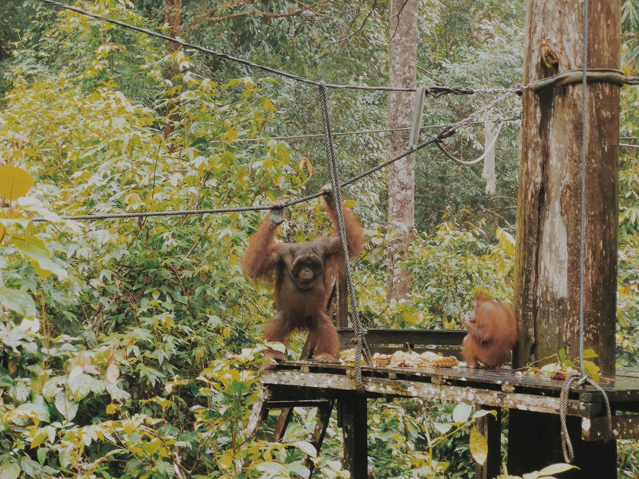 photo_2019-01-31_09-54-00