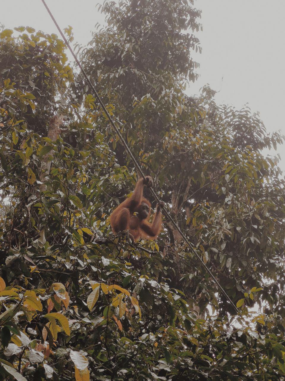 photo_2019-01-31_09-54-15