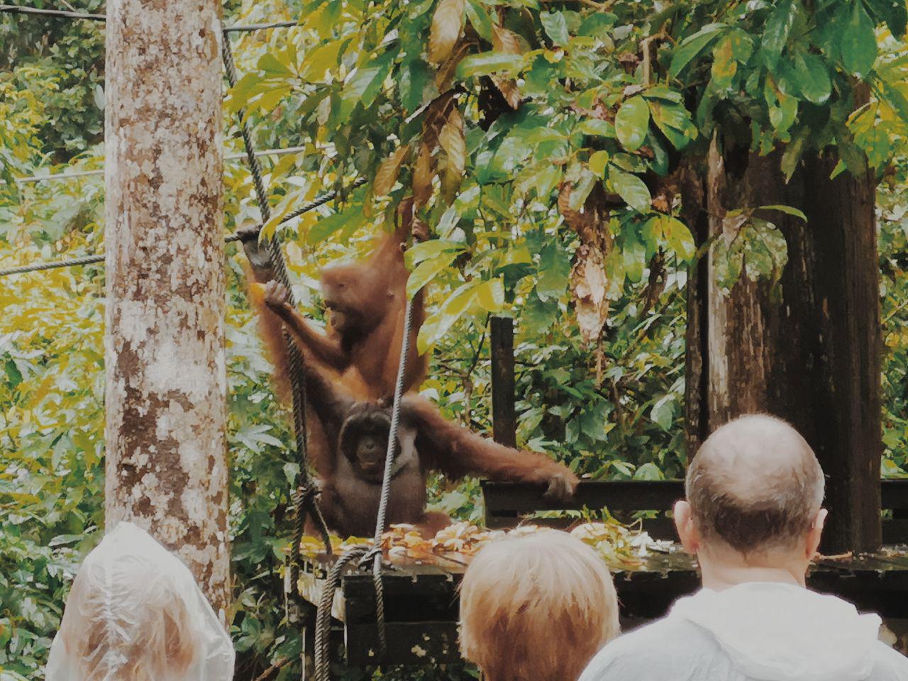 photo_2019-01-31_09-54-21