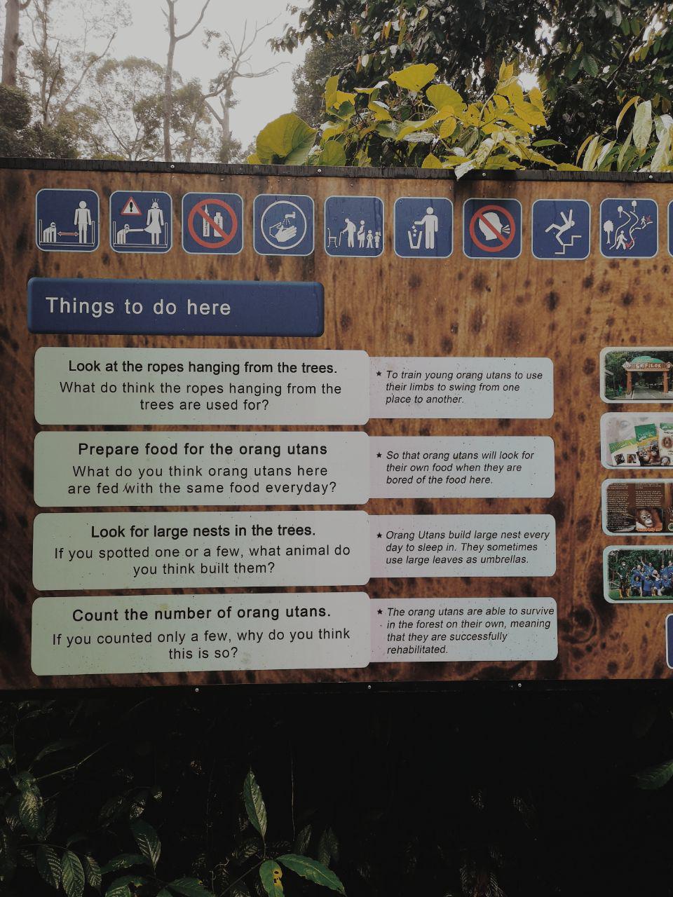 photo_2019-01-31_09-54-25